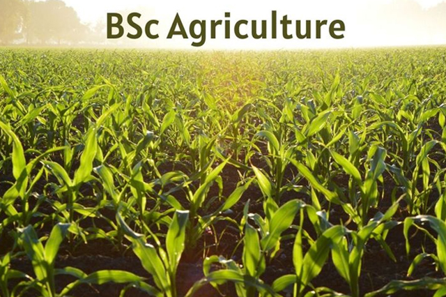 Iyappa Institute Distance Education Center in Ashok Nagar Chennai